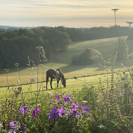 Domaine De Cazal - Gite 2 Pers Avec Piscine Au Coeur De 26 Hectares De Nature Preservee Saint Cyprien Bagian luar foto