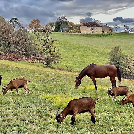 Domaine De Cazal - Gite 2 Pers Avec Piscine Au Coeur De 26 Hectares De Nature Preservee Saint Cyprien Bagian luar foto