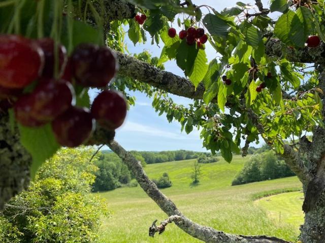 Domaine De Cazal - Gite 2 Pers Avec Piscine Au Coeur De 26 Hectares De Nature Preservee Saint Cyprien Bagian luar foto